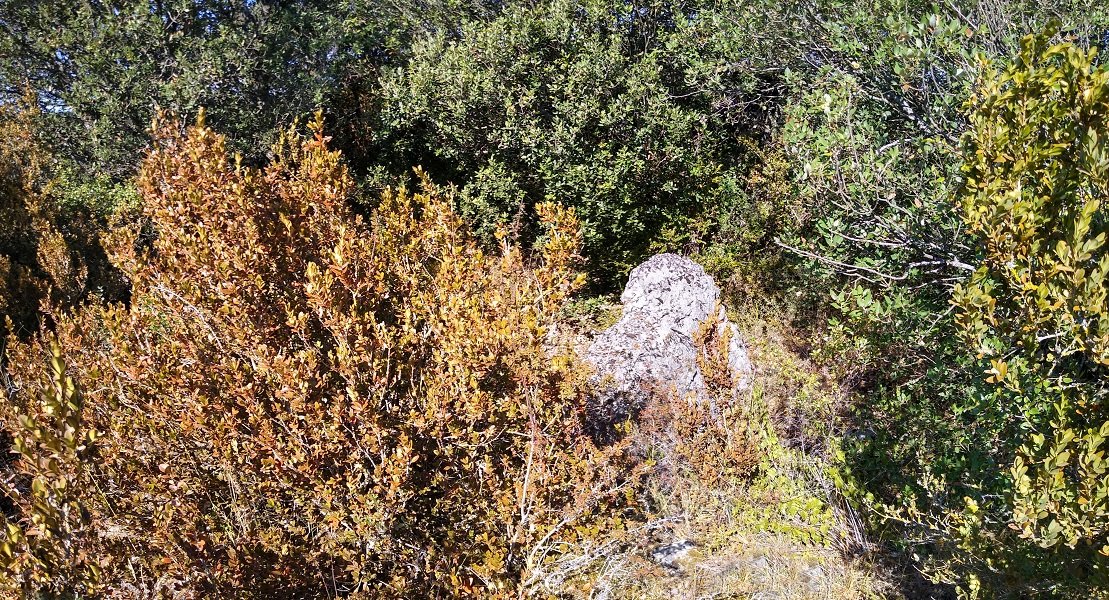 Pieza de Luis trikuharria