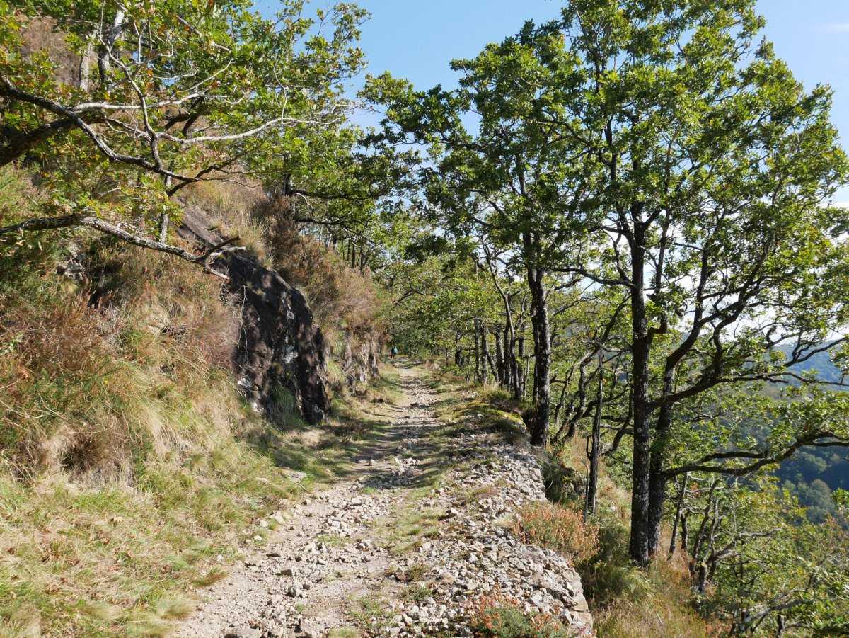 Trenbide zaharraren arrastoan