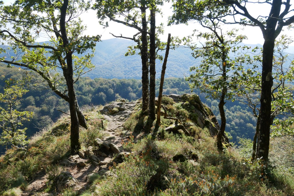 Begiratoki aparta, Eukal Herriko harkaitz zaharrenetan