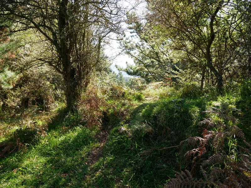 Argiñaoko Atxeko tontorra