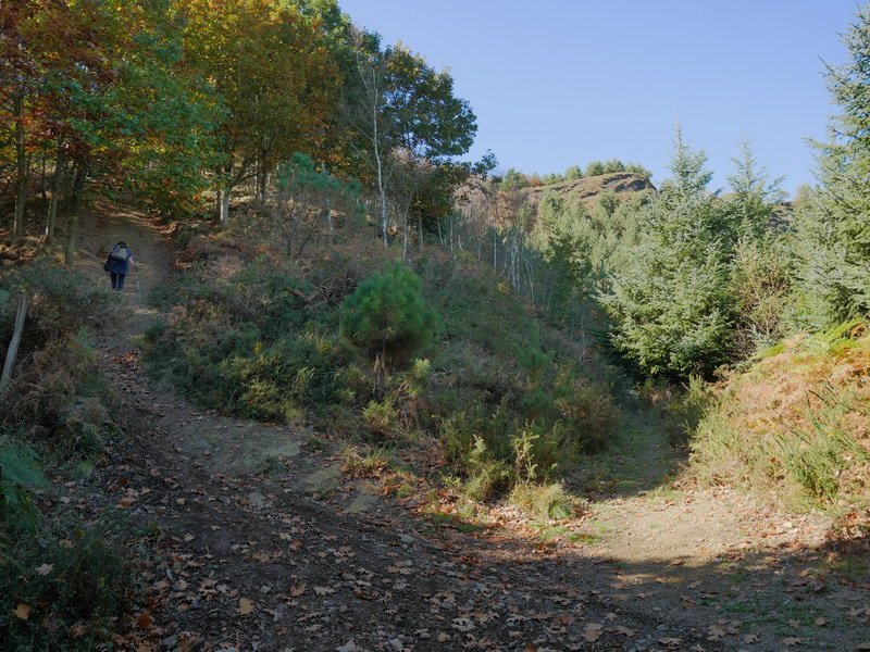 Mandoiara hego-ekialdetik igotzen den bidea