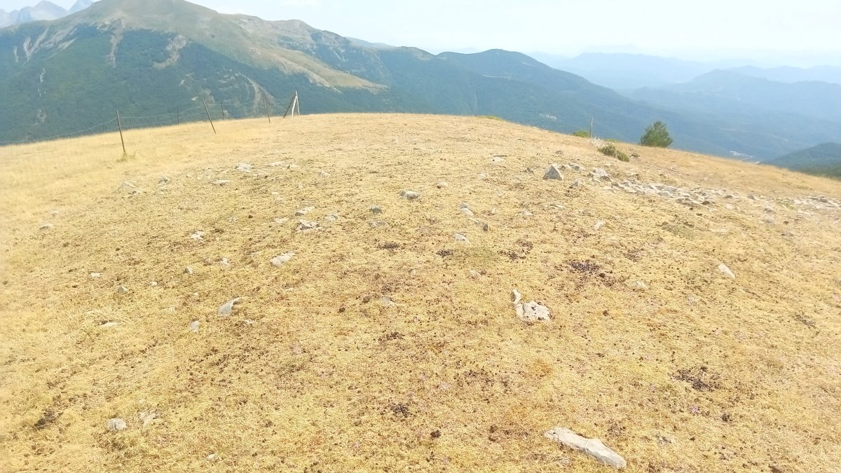 Idoia tumuloa (2021)