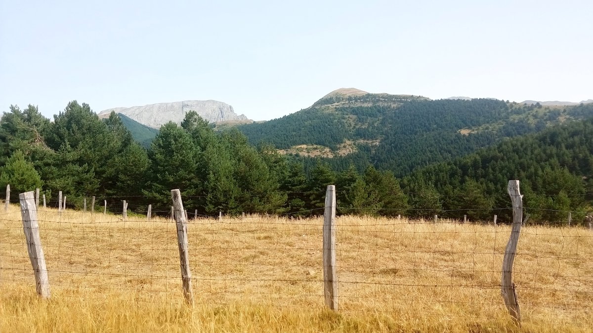 Idoia (1749m) urrunean Iñari aldetik