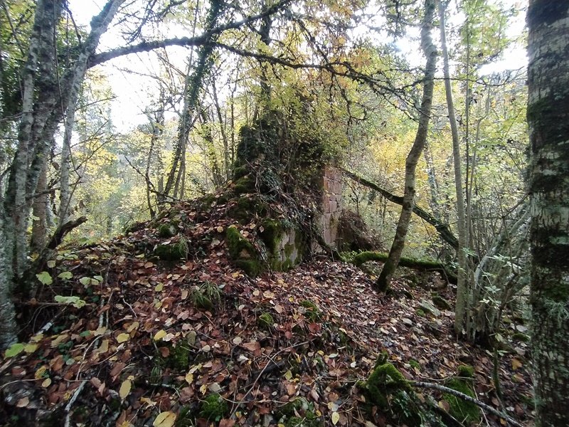 San Martin Elizaren Hondakinak