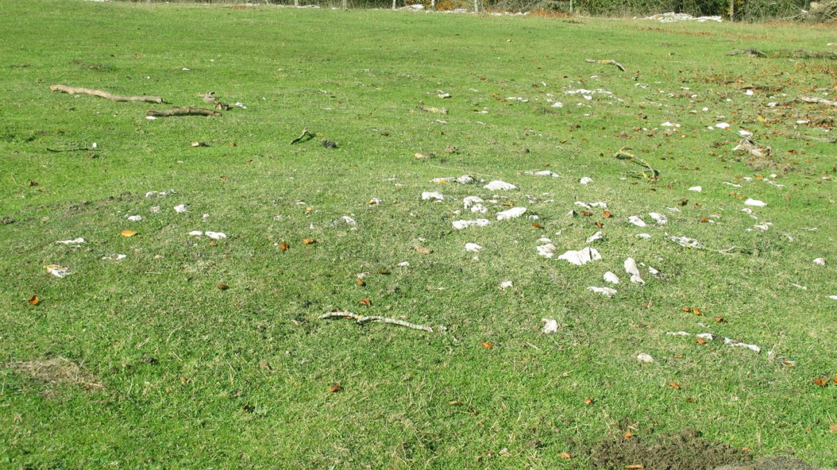 Chabola Ormazabal I tumulua, Ameskoako Limitazioak