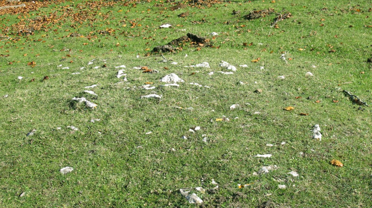 chabola Ormazabal I tumulua, Ameskoako Limitazioak