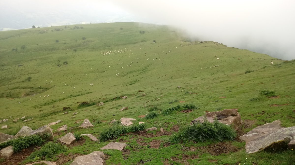 Alba (1074m) Zagua alderako zelaia