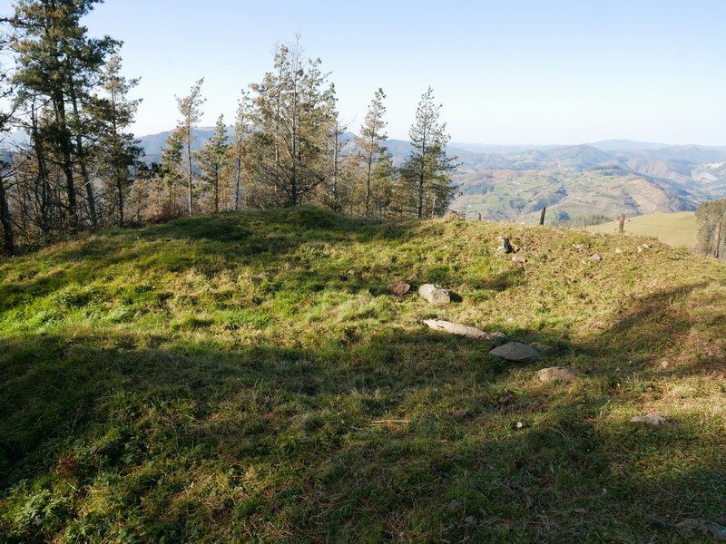 Diruzulo trikuharria