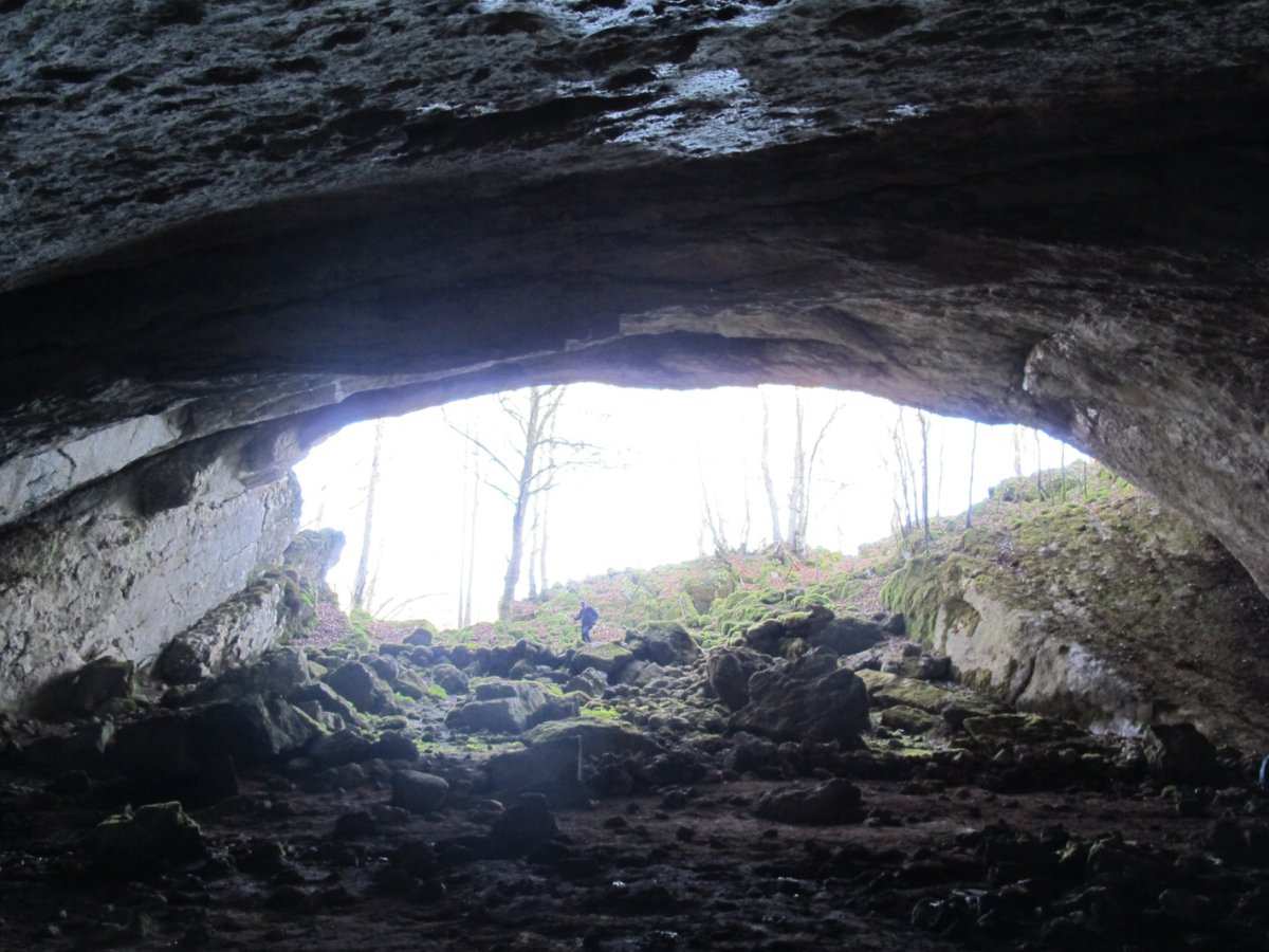 Amurutxateko Koba, Erregenea