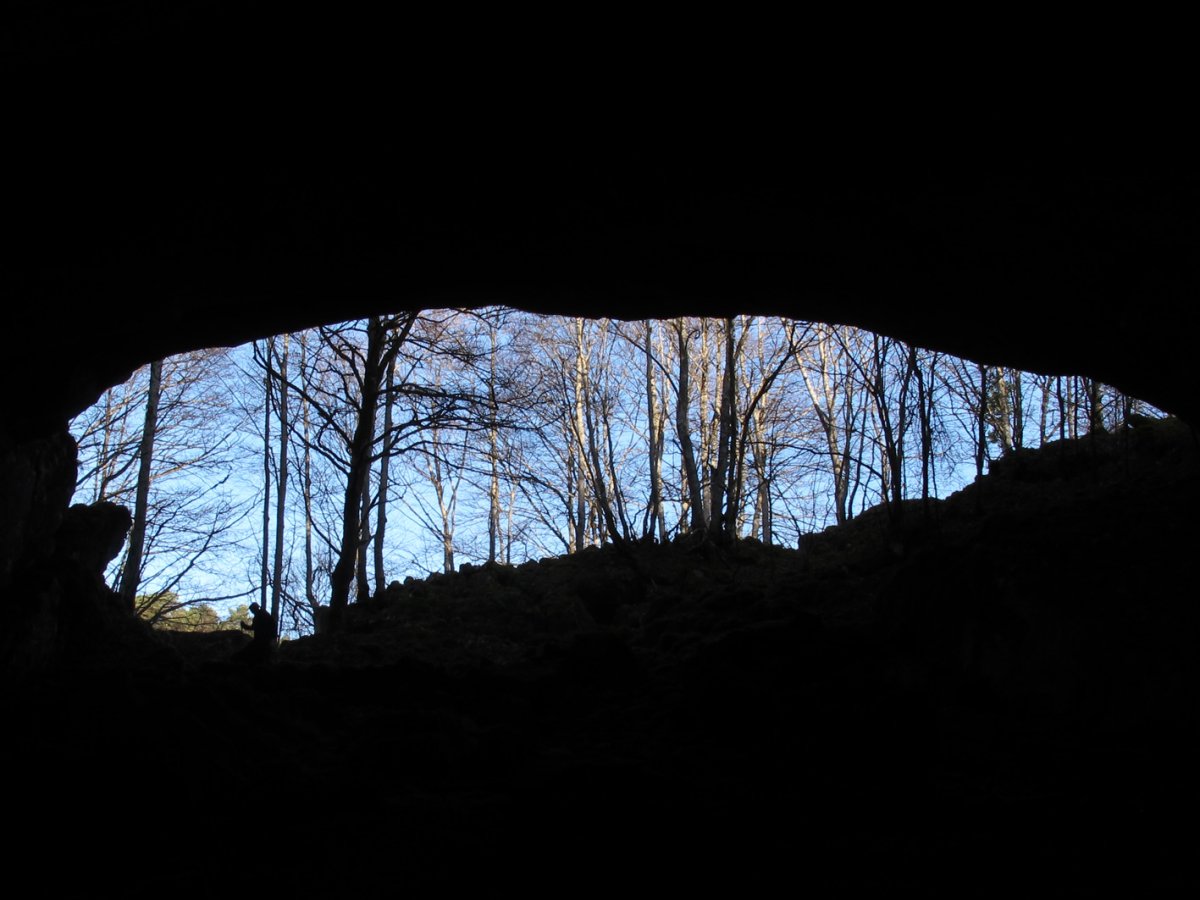 Amurutxateko Koba, Erregenea