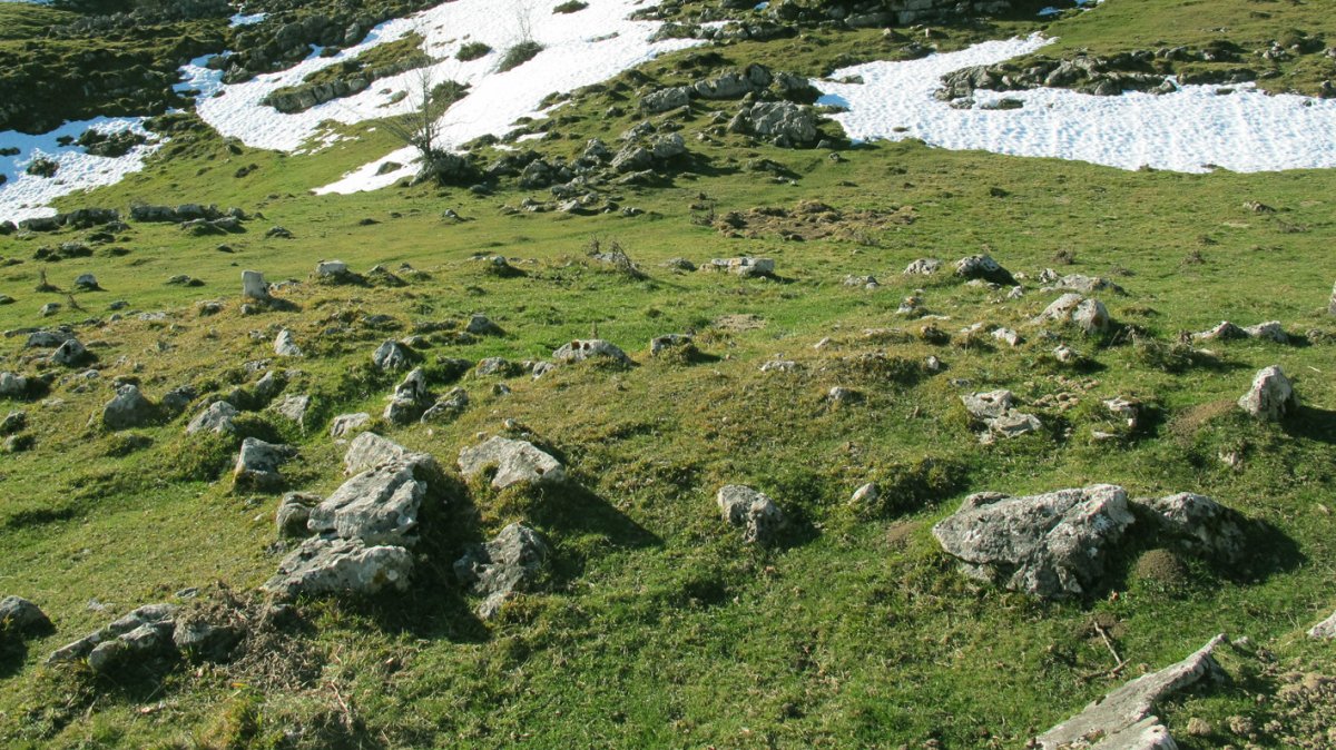 Arrate Zar tumulua, Erregenea