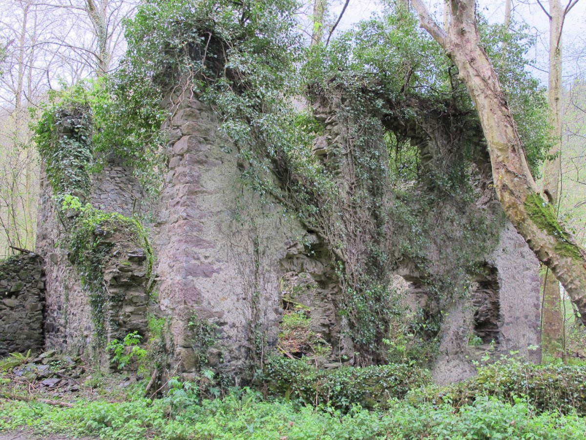 Behekoa errotaren hondakinak, Etxalar