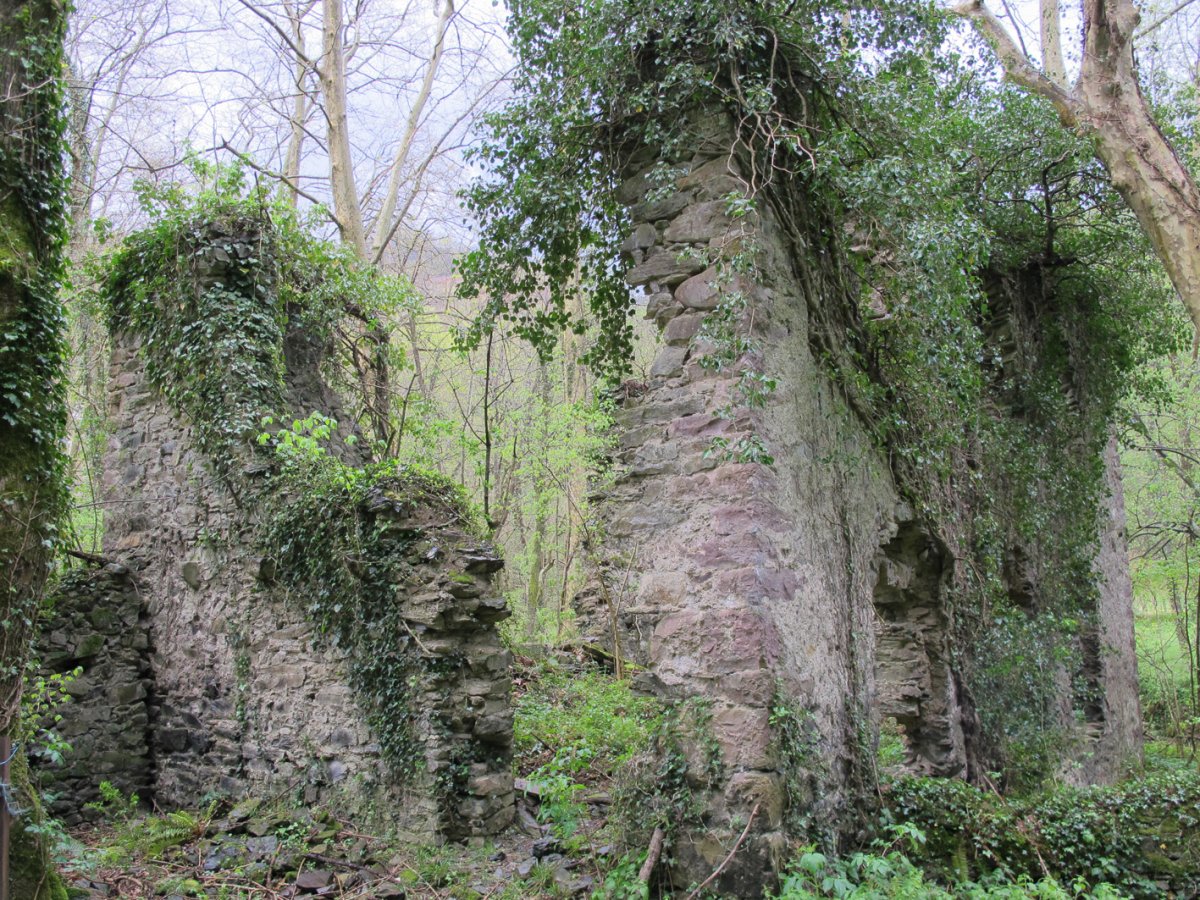 Behekoa errotaren hondakinak, Etxalar