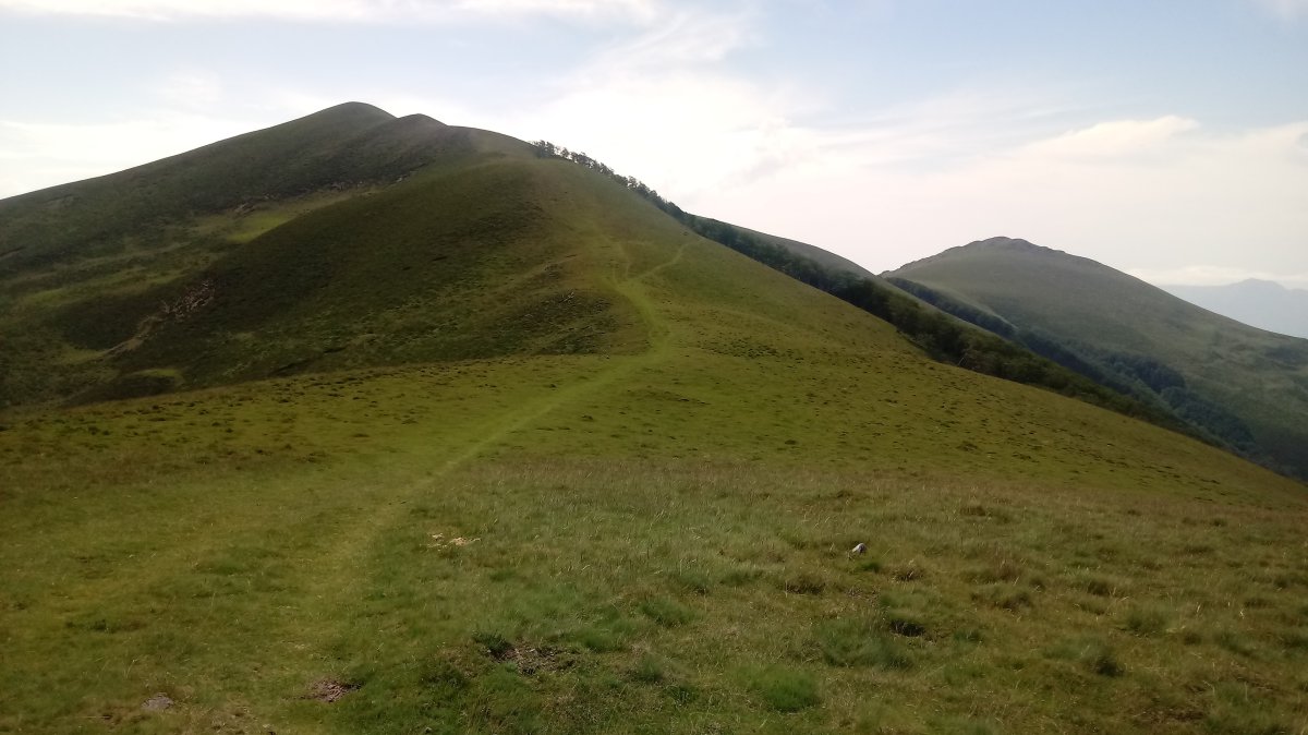 Okolin (1355m) Saioa aldeko lepotik