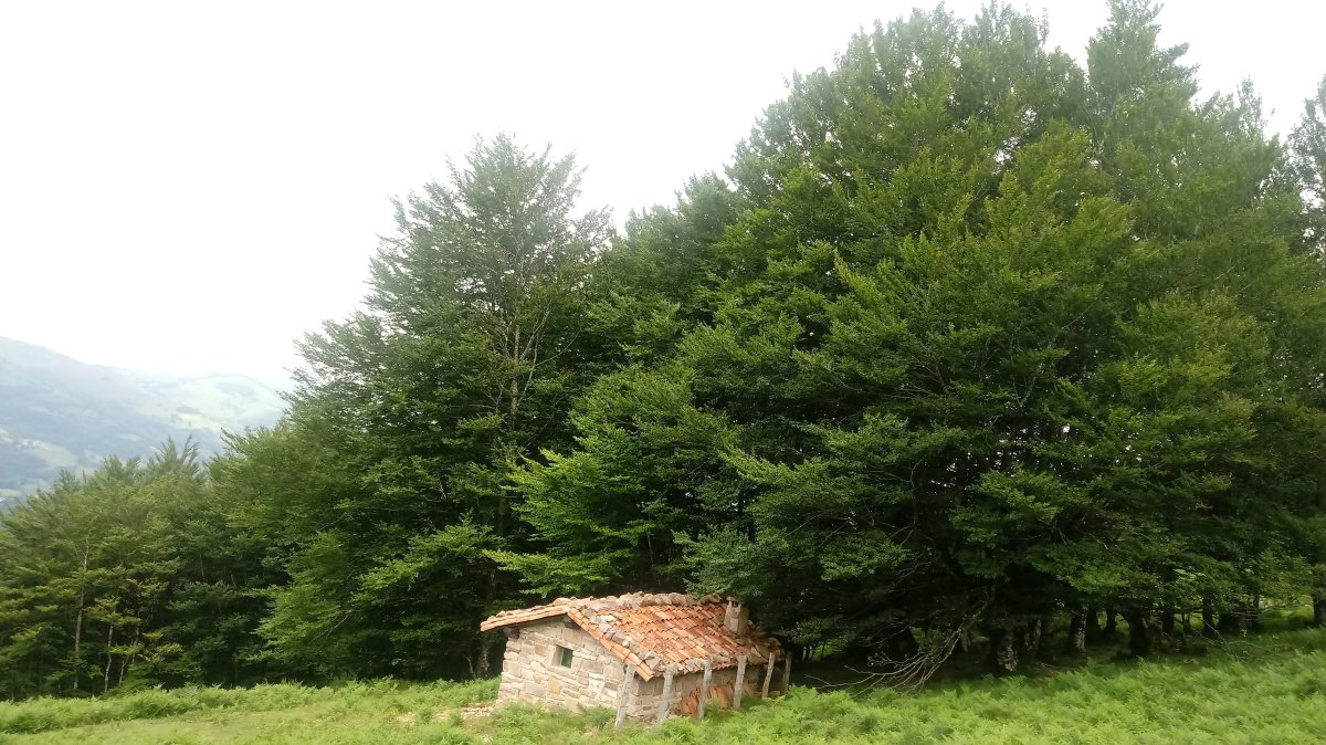 Lerabidetako borda berria Aitzkoako bidearen ondoan