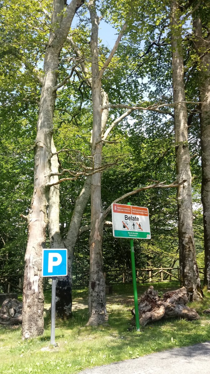 Belate mendateko atseden-gunea