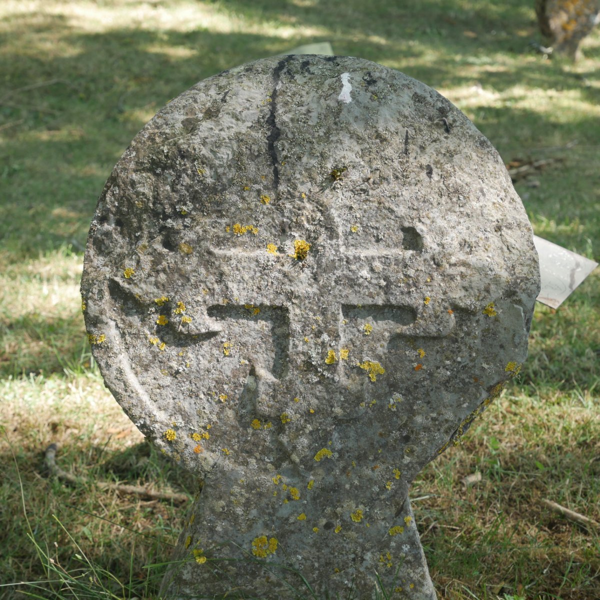 Aurizberriko hilarria