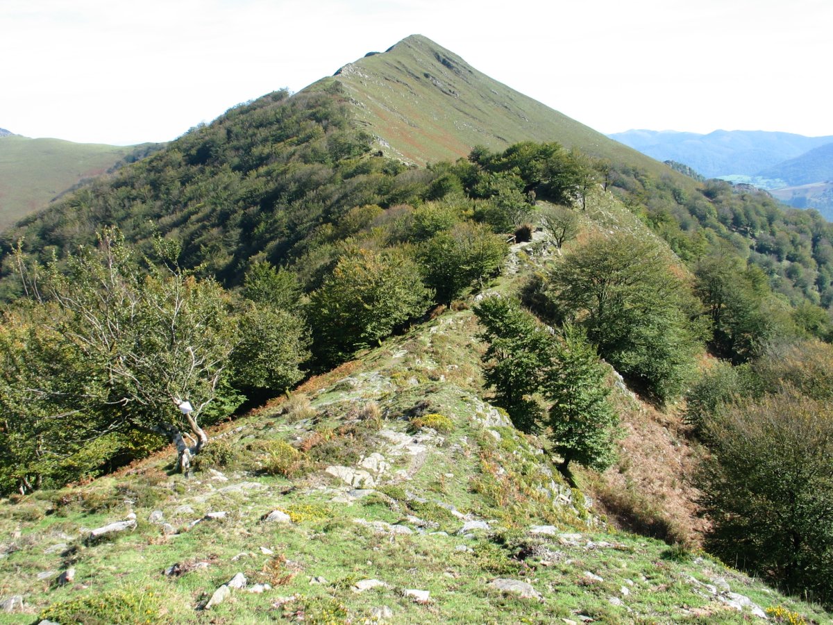 Mendebaldeko hegitik ikusita
