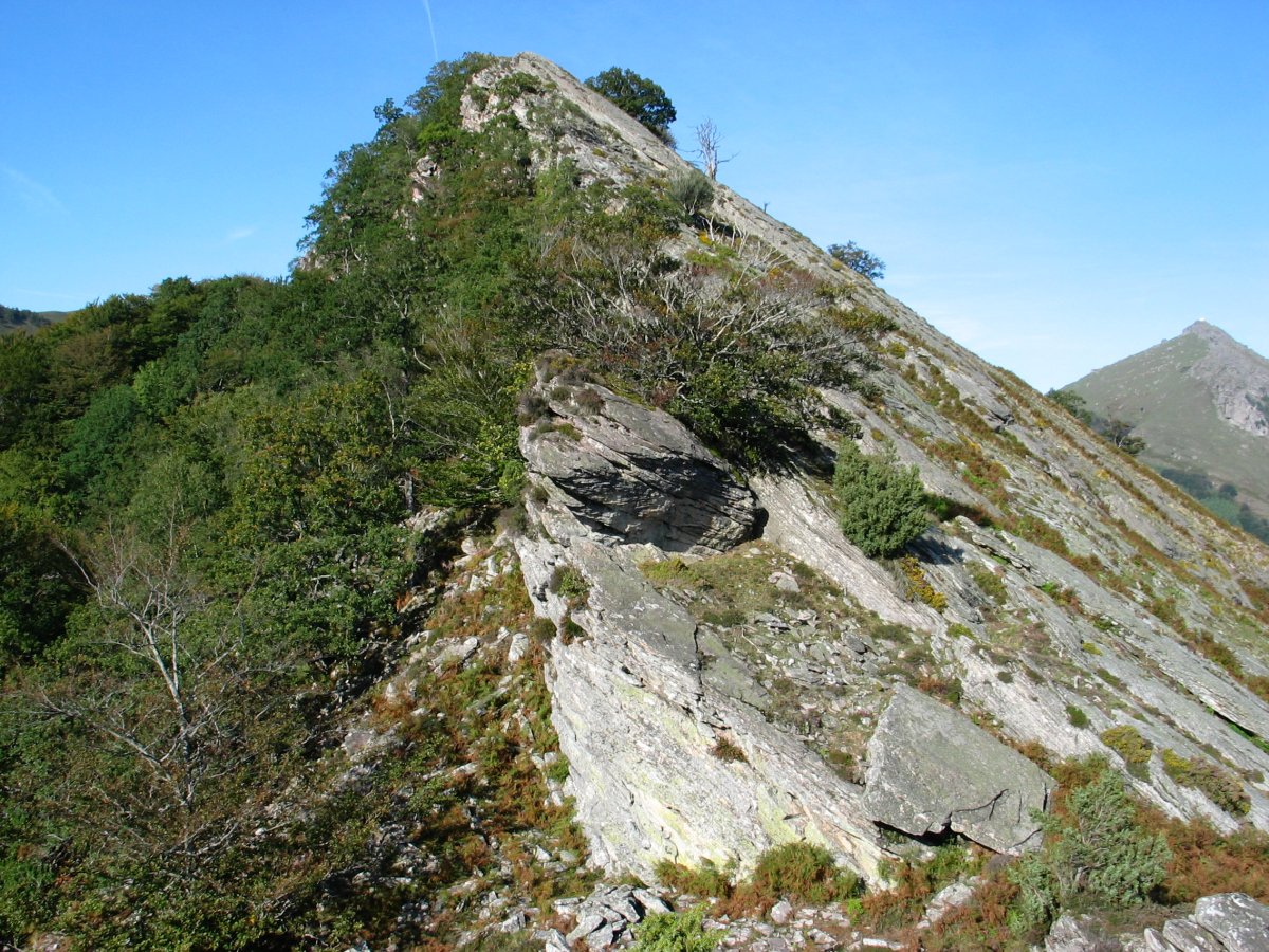 Oltzorrotz haitza Hegoaldetik ikusita
