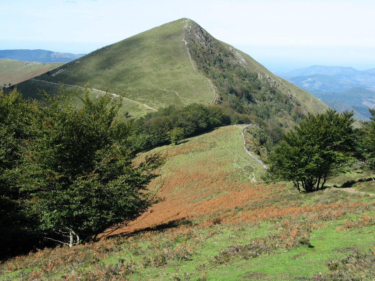 Komizko Gaina, Hegoaldetik