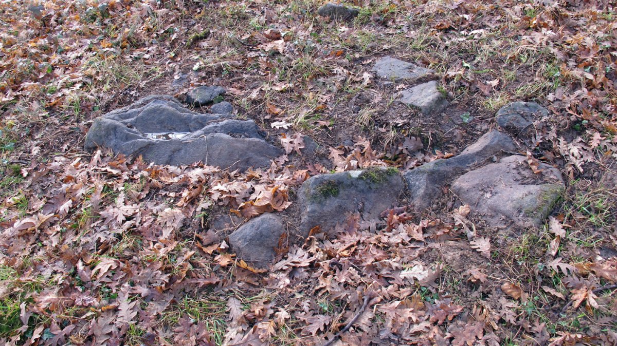 Bertsola trikuharria, Arriola-Asparrena