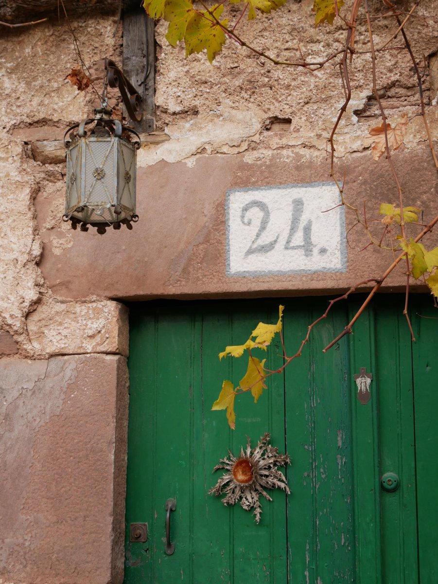 Atari bateko xehetasunak, Elgorriaga