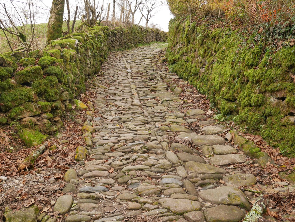 Galtzada Latsagako zubiaren inguruetan, Ituren