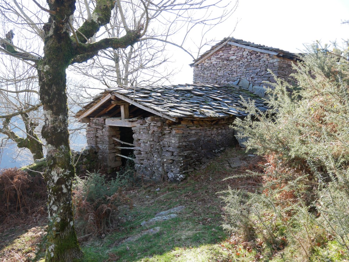 Artzain borda Iratzabal aldean