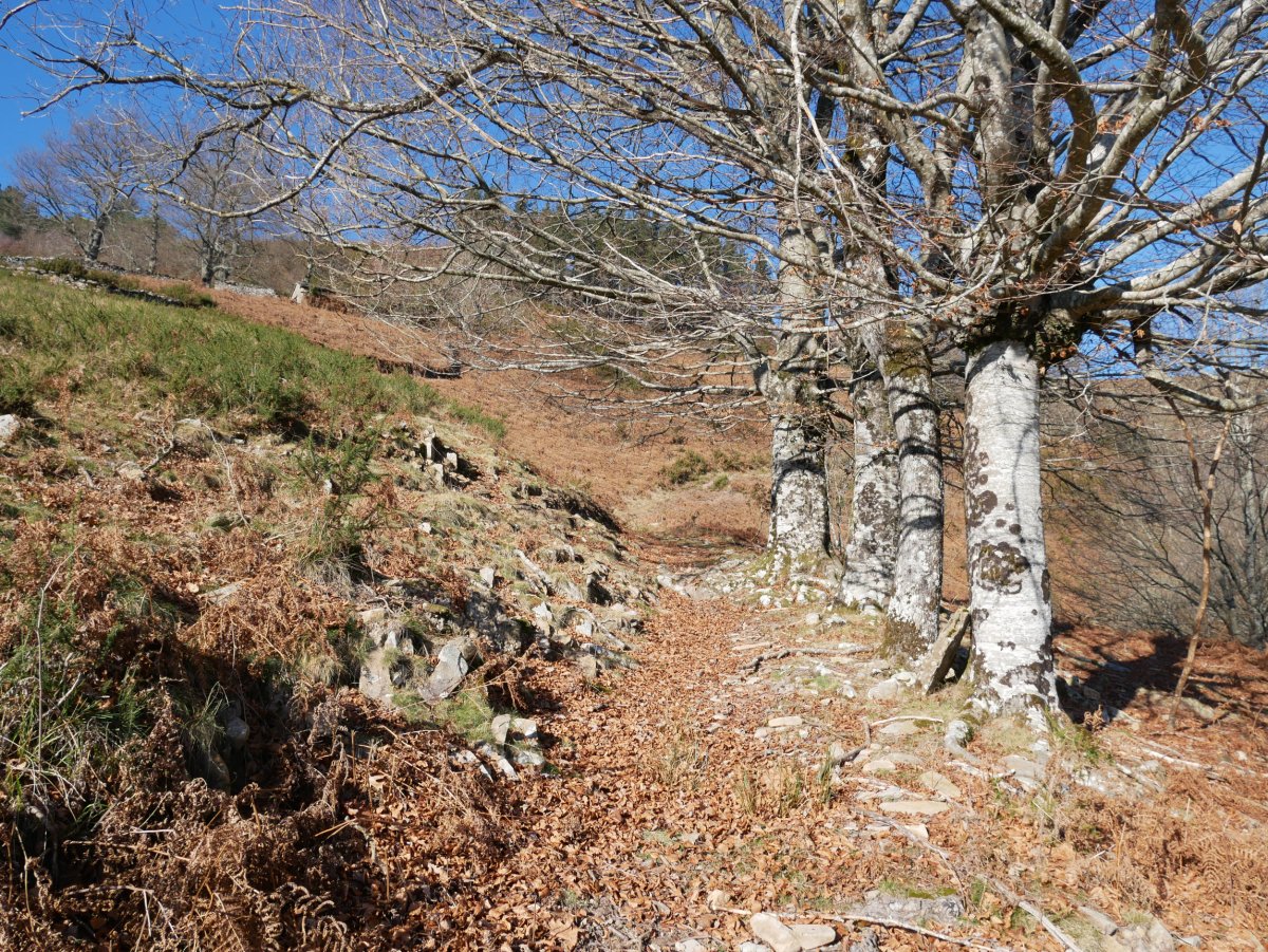 Iratzabaldik gorako bideko pasarte bat