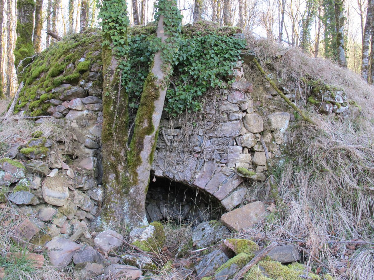 Aranea karobia, Bertiz-Bertizarana