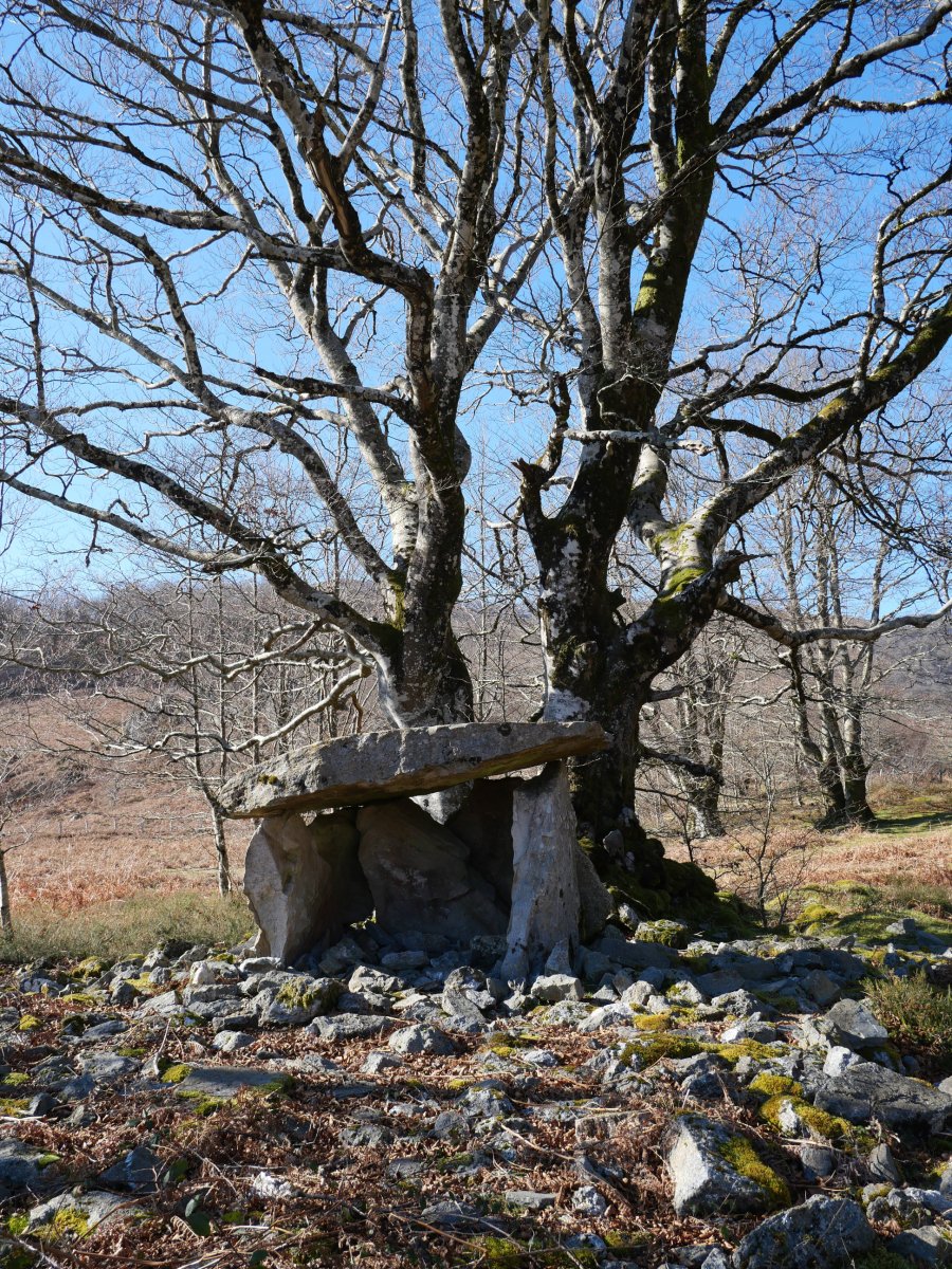 Azango Miaka trikuharria