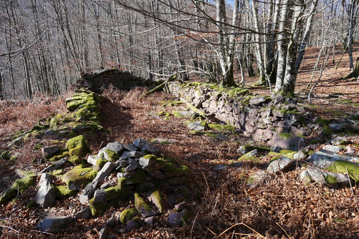 Borda baten aurriak Arrileuneta gainean