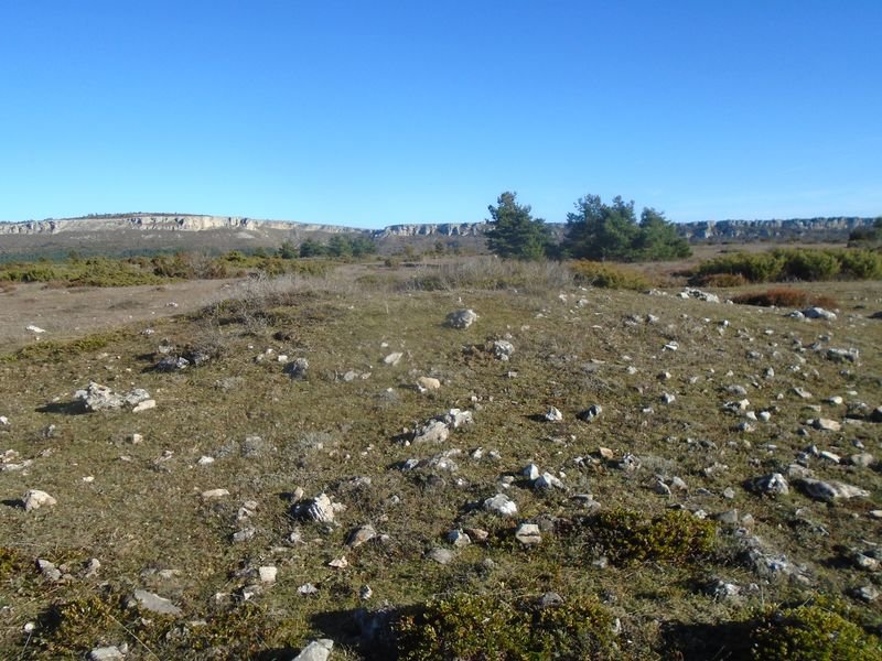 san lorenzo trikuharria