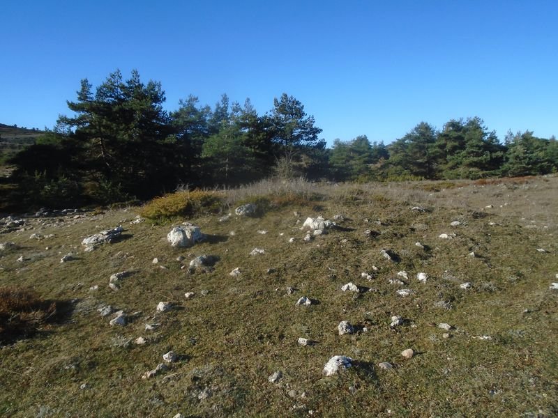 san lorenzo trikuharria