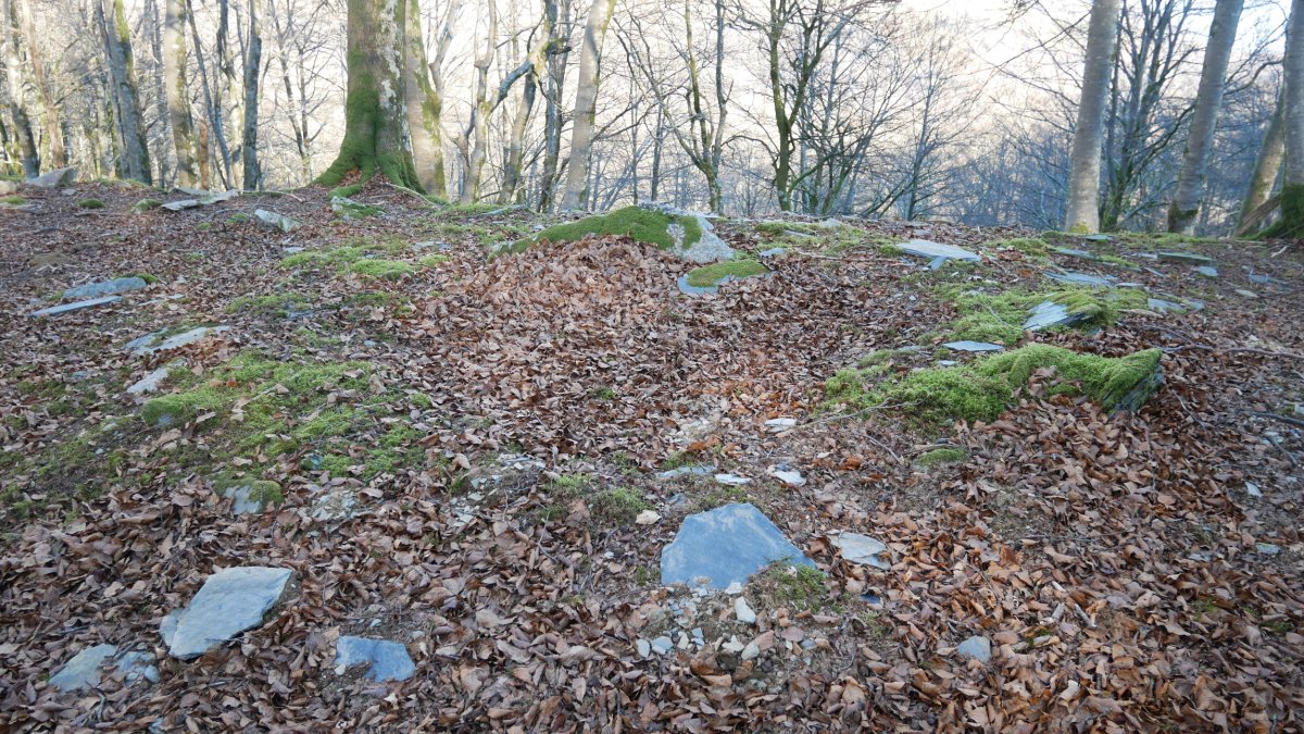 Biamendiko Bizkarra trikuharria