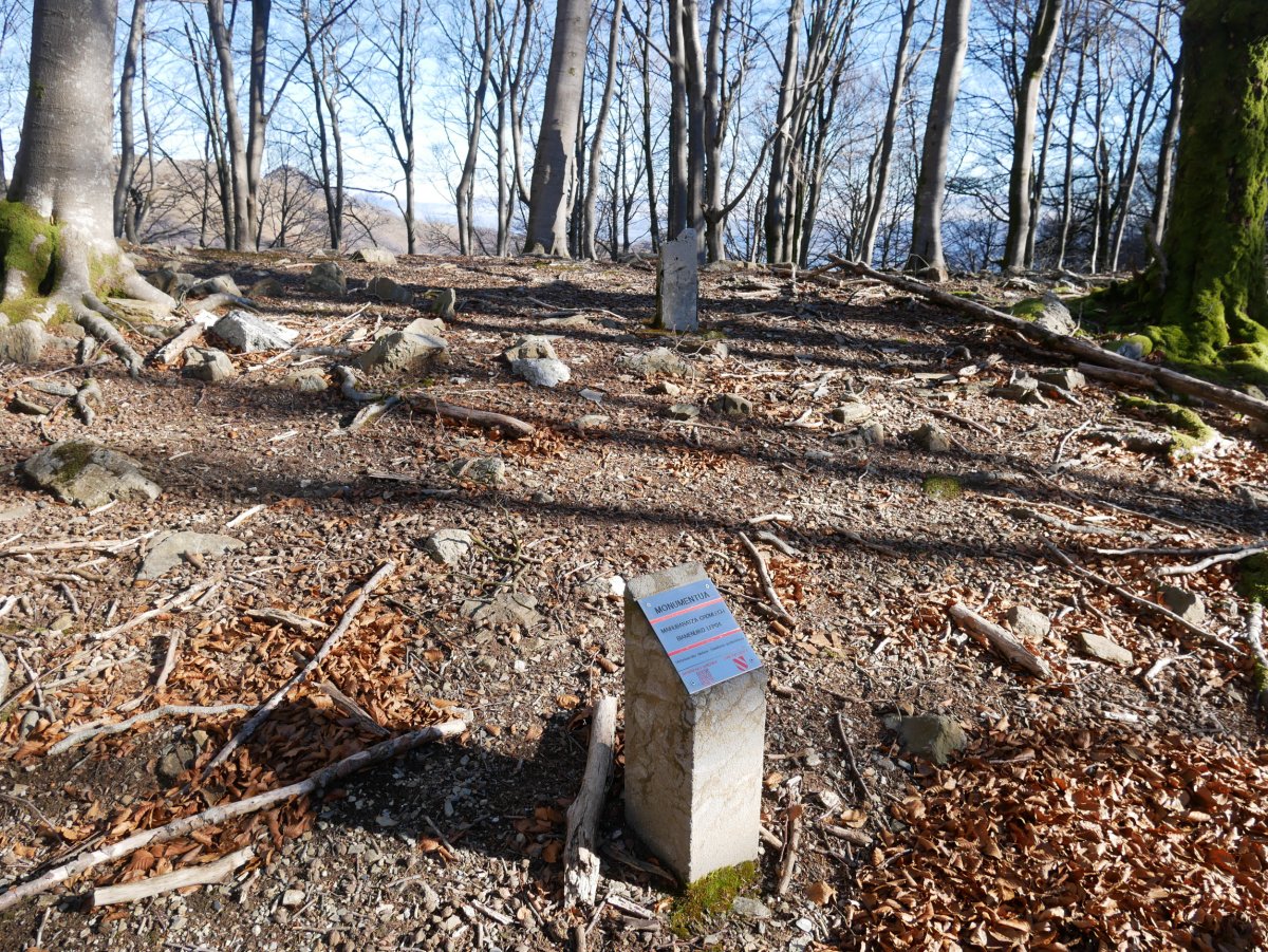 Biamendiko lepoa harrespila