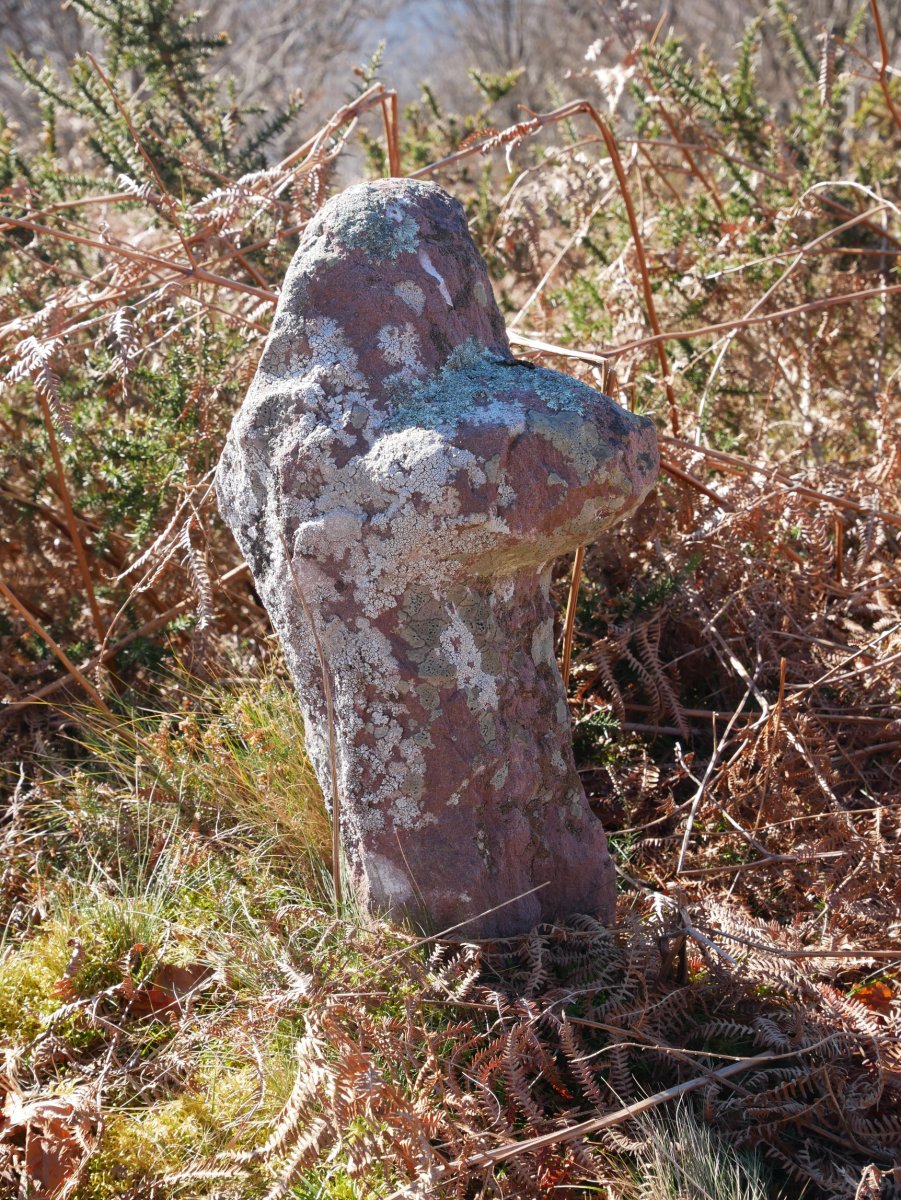 Harrizko gurutze zaharra Iparraldeko bizkarreko muino batean