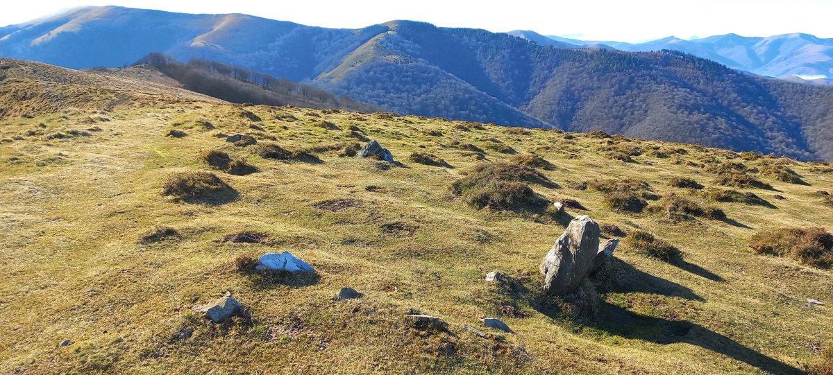 Izu Hegoa harrespila