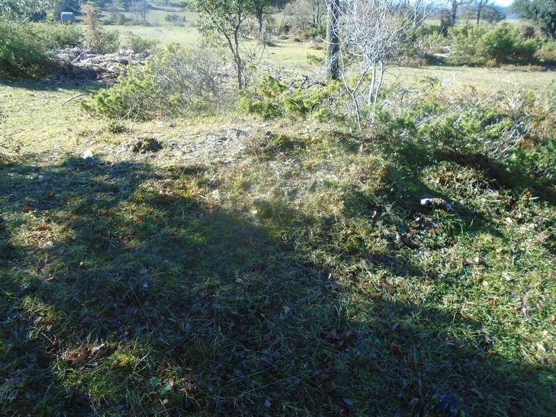 paso de campullido 4