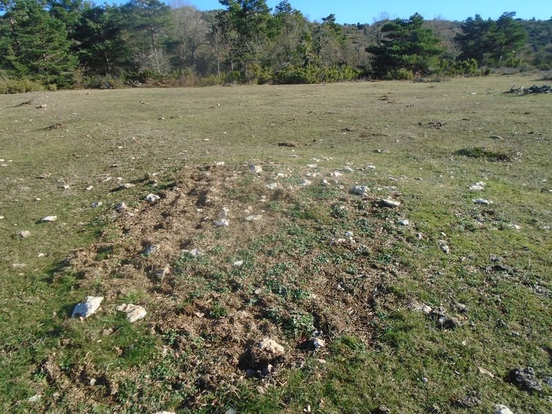 paso de campullido 5