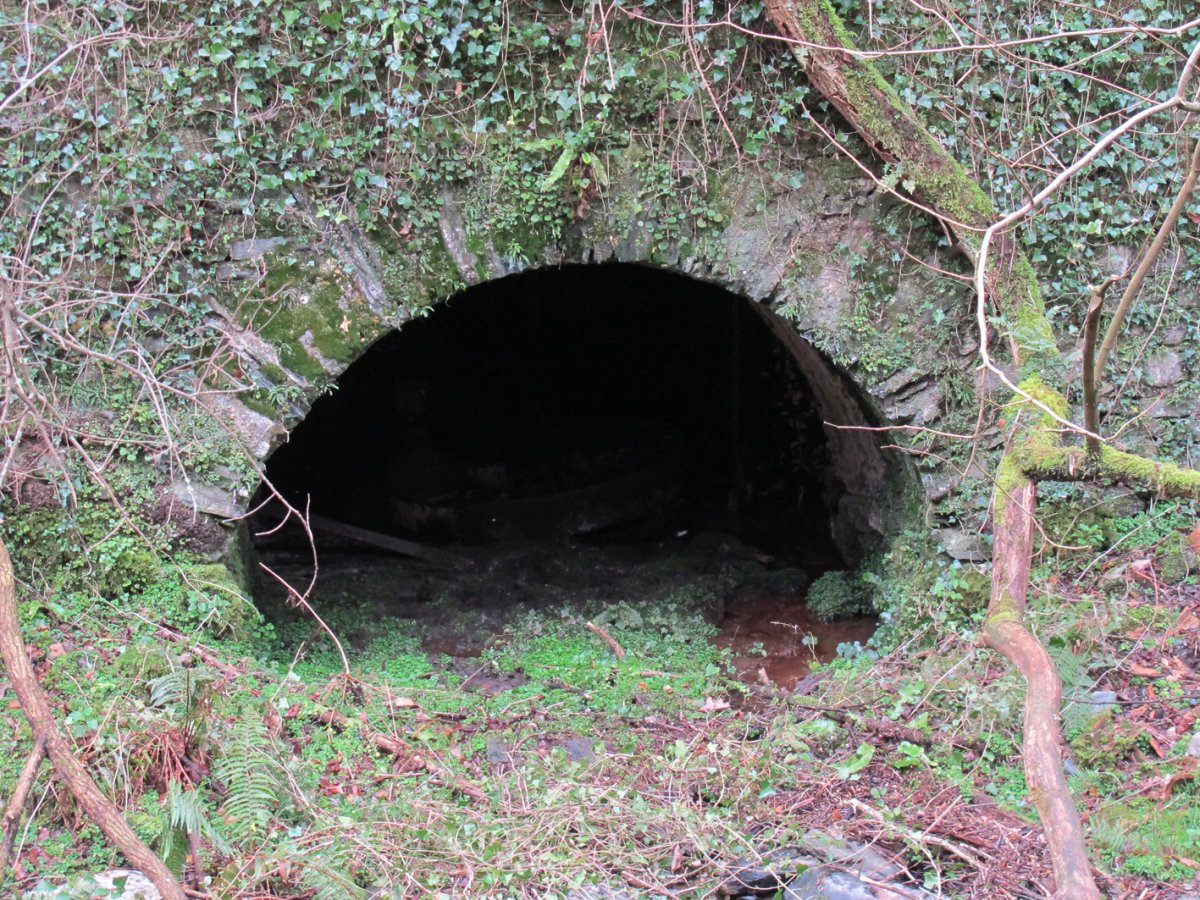 Beheko Errota, Arano