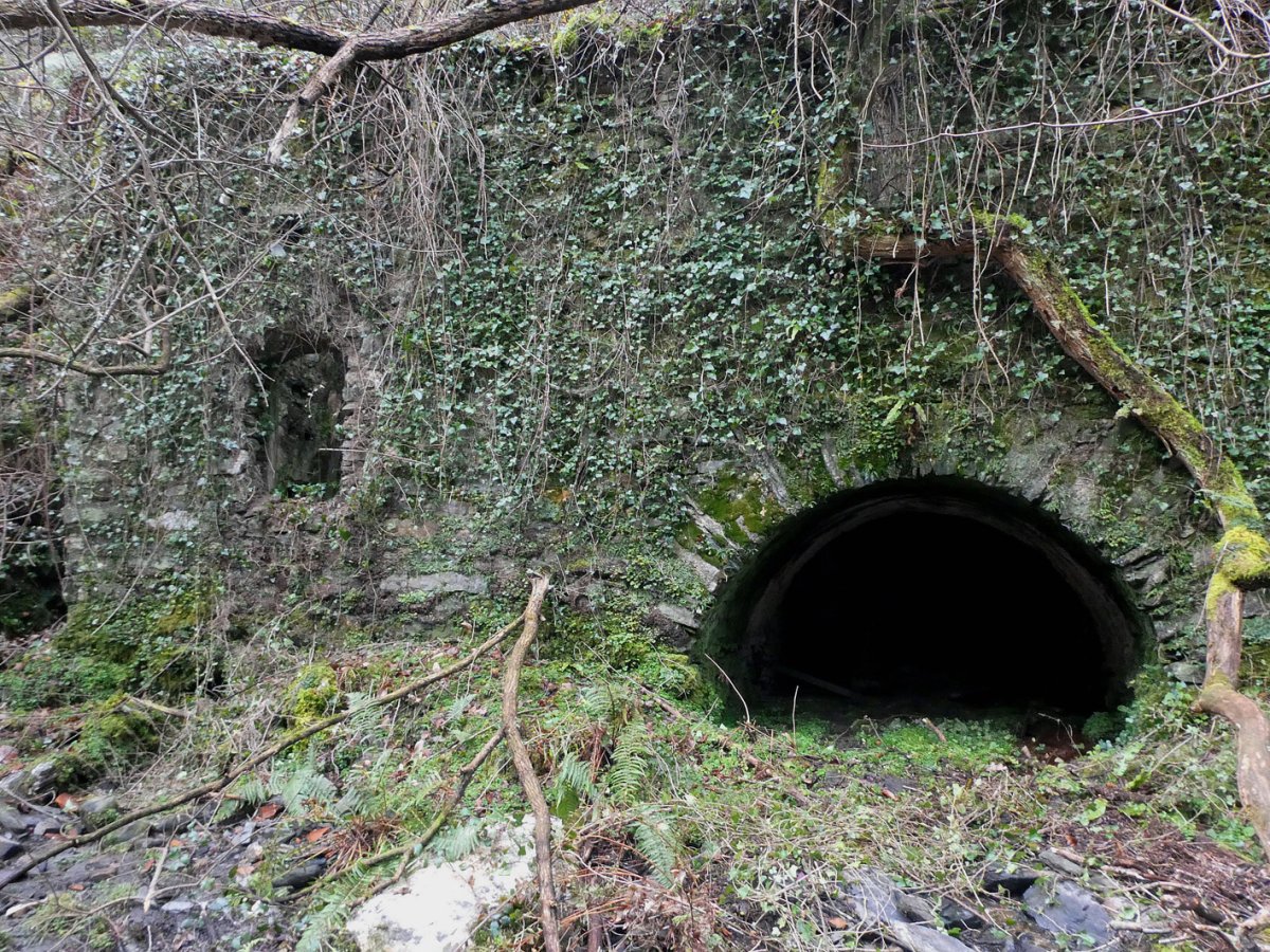 Beheko Errota, Arano