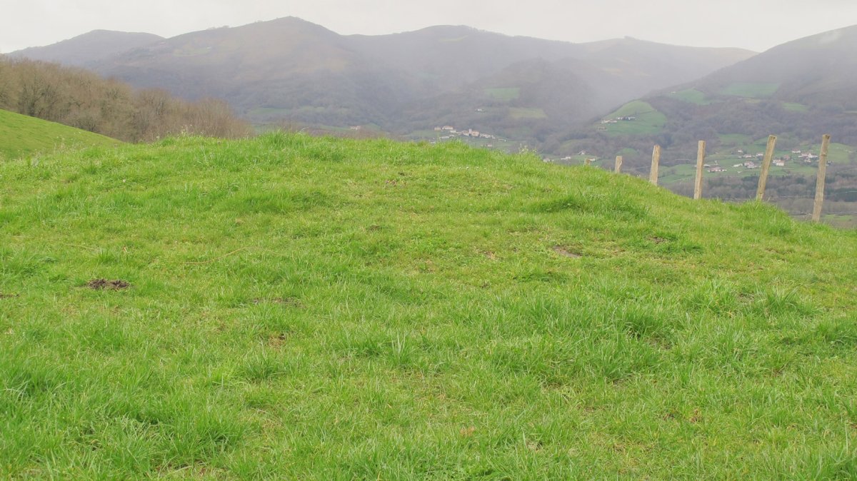 Etxeberriko Borda tumulua, Erratzu-Baztan