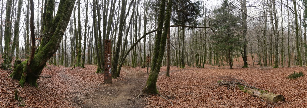 Hirumuga Bike Park, mendiko bizikletentzako ibilbidearen hasiera, Basakaitz