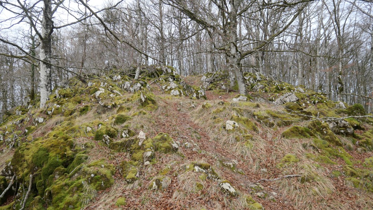 Tontorrerako azken metroak, HEtik, Basakaitz