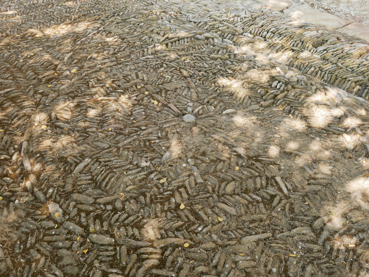 San Migel eliza, Jaitz