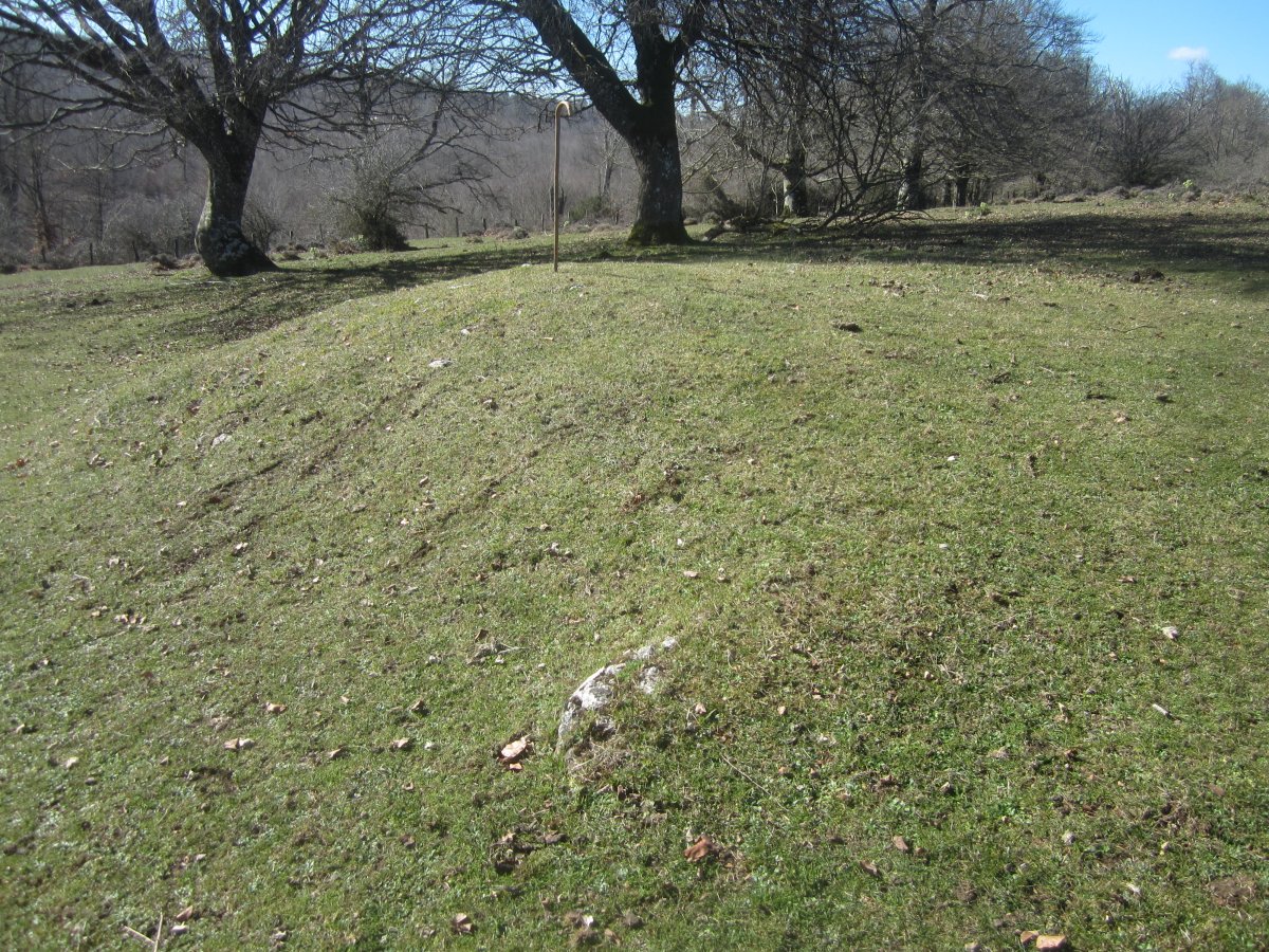 Fondo de Cabaña Raso de Ezpola (Febrero 2022)