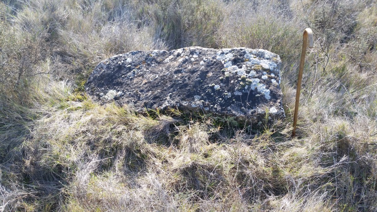 Monolito  Onceta  (Febrero 2022)