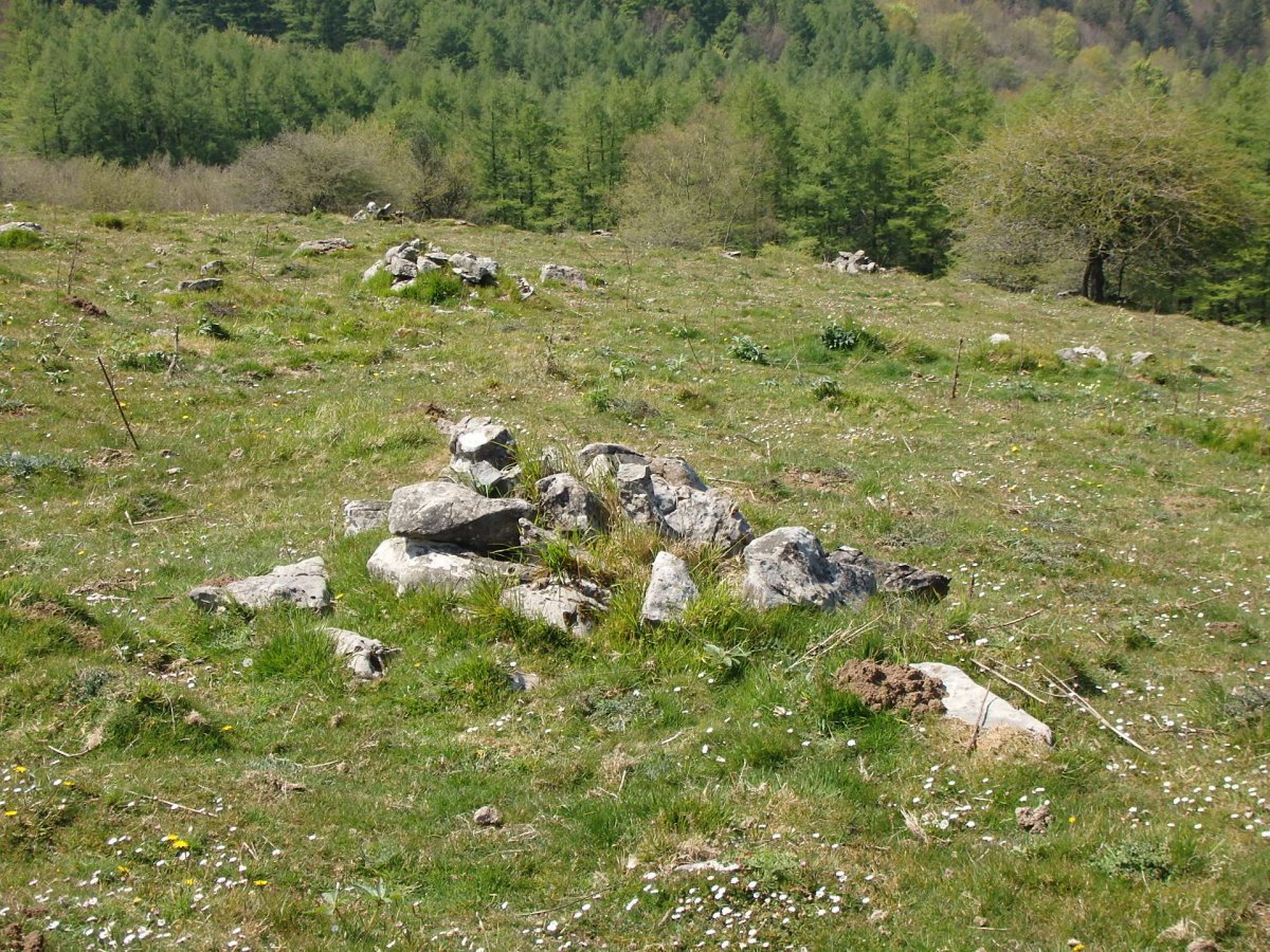 Campo tumular BELAURIATE III