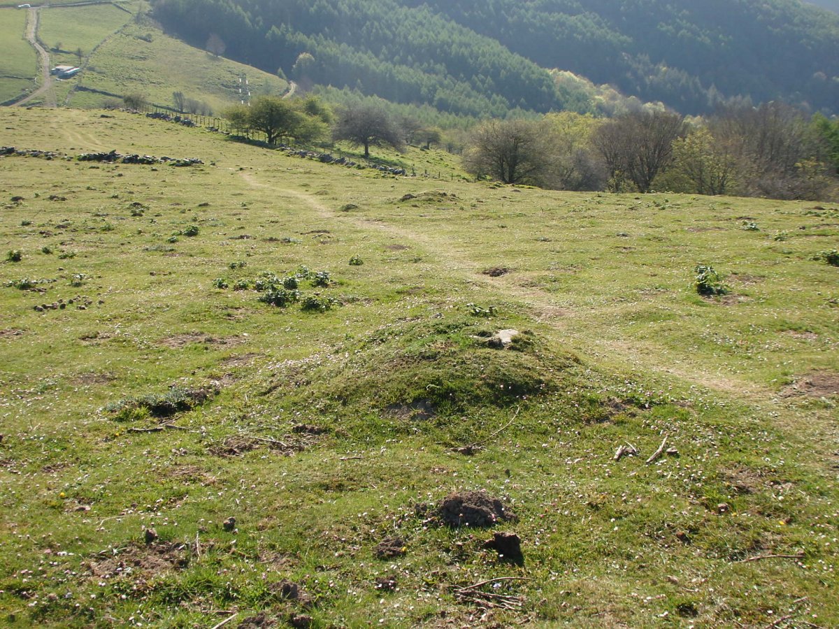 Campo tumular BELAURIATE